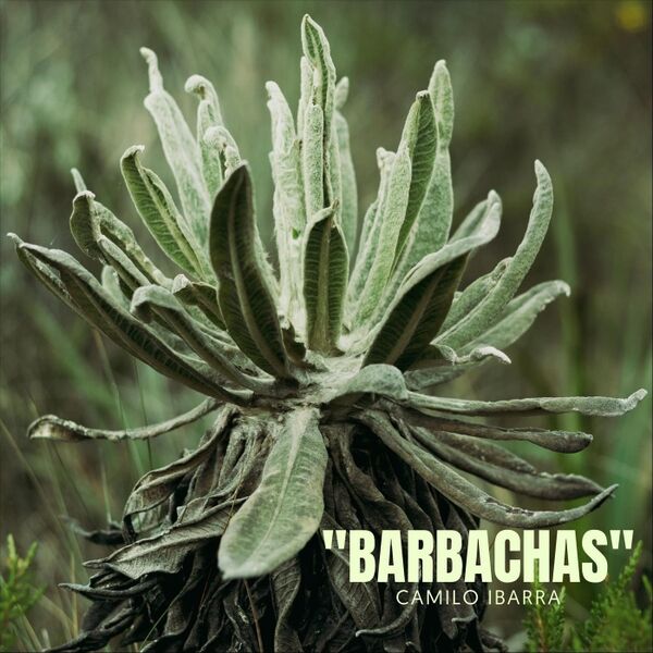 Cover art for Barbachas